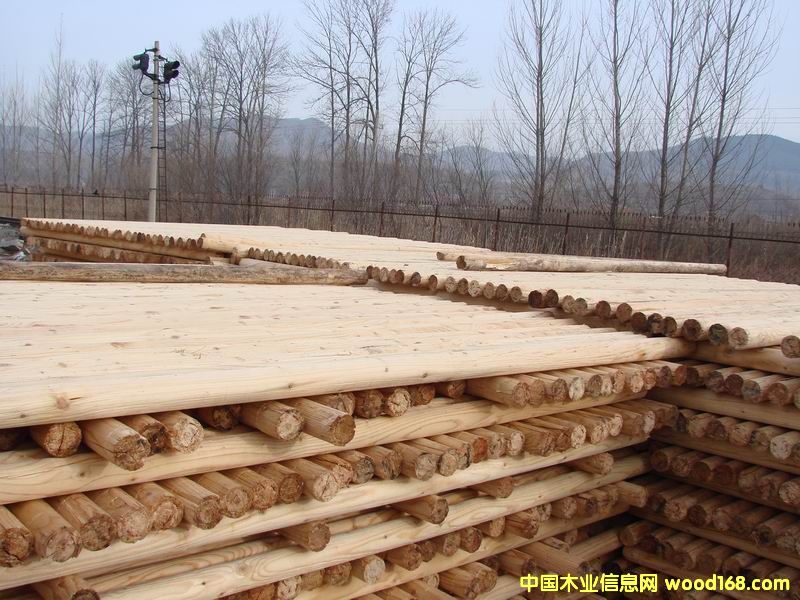 ľо����(y��ng)��Ԕ��(x��)��B