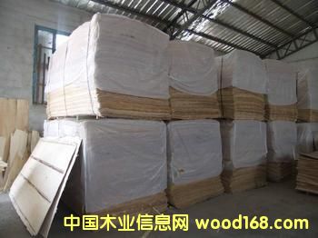 ��ľ��Ƥ��Ԕ��(x��)��B