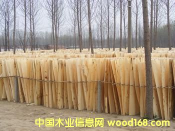 1.3�׊A��Ƥ��Ԕ��(x��)��B