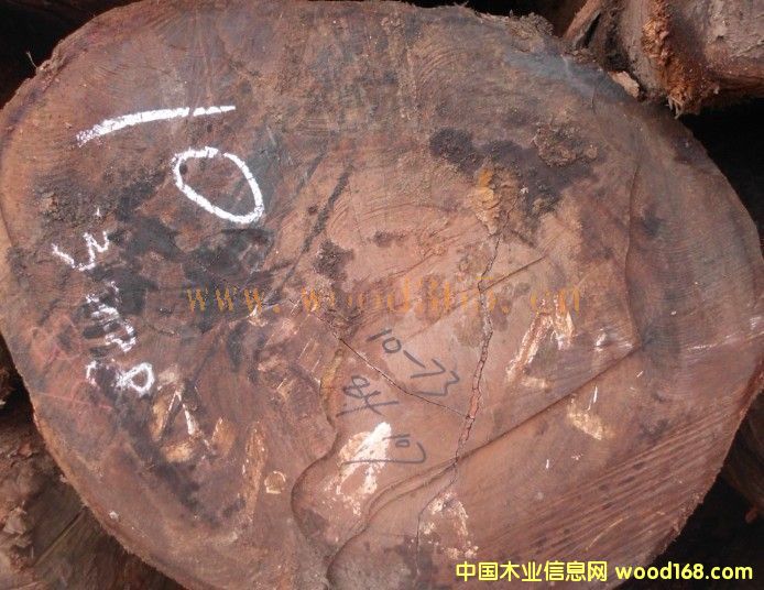 ��Ī�� ���� ���_�T��Ԕ����B