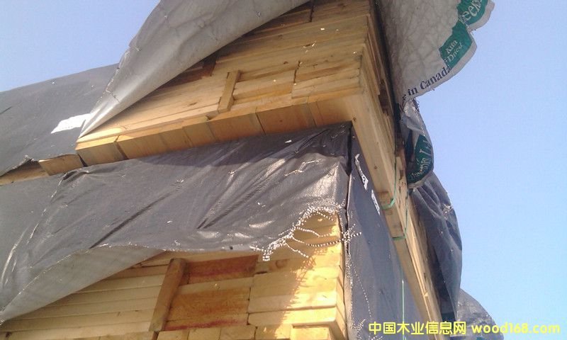 ����A��(j��)����