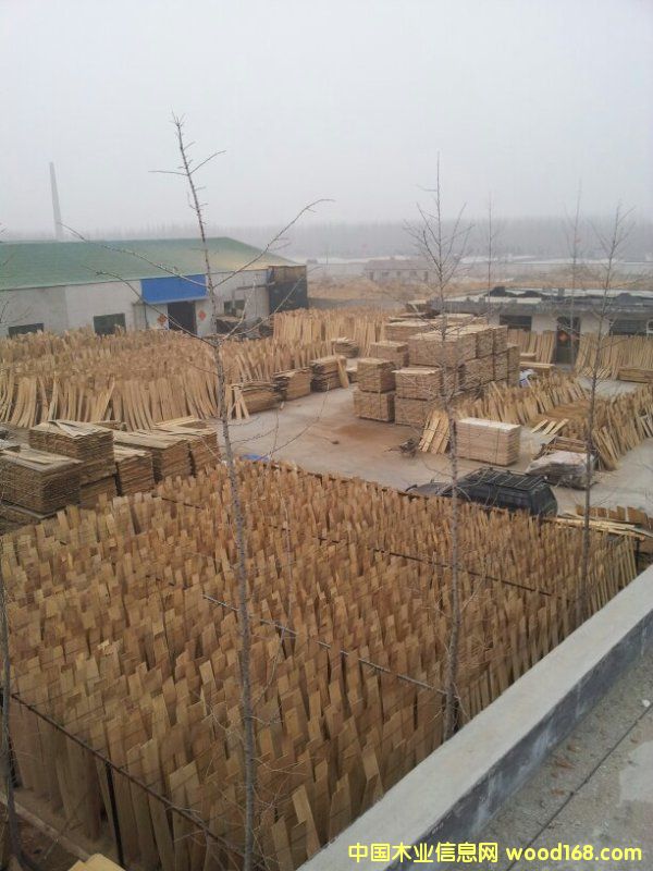 �ذ�������W�� ����