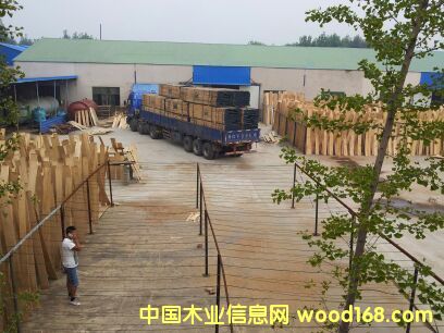 �ذ�������W��  ����