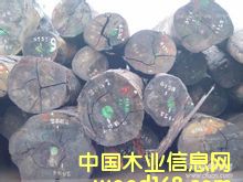 �һ��ĵ�Ԕ����B