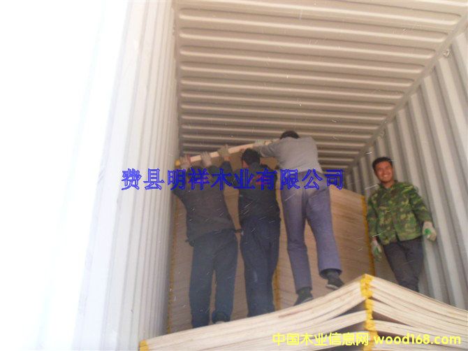 [��] 3MM�z�ϰ�