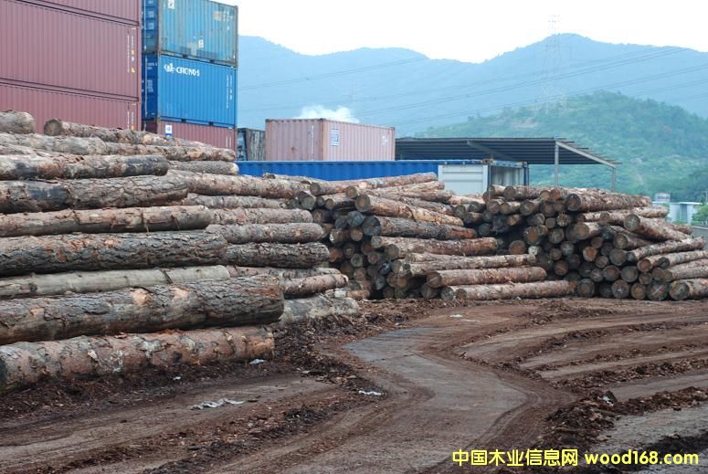 ������ԭľ��Ԕ��(x��)��B