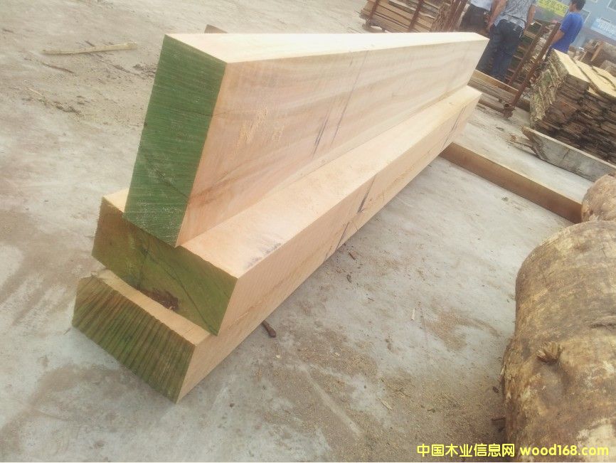 �������ȼ���ľ��Ԕ��(x��)��B