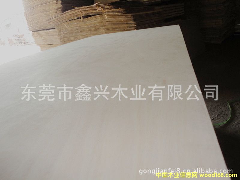 ����(y��ng)�W�����һ�о��Ƥ�A��