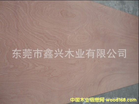 ��������(y��ng)�һ�о�N���