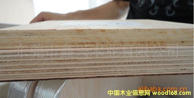 E1��ɳ�l(f��)�� ��ľɳ�l(f��)�� ���b�� ����ߴ�ӹ�