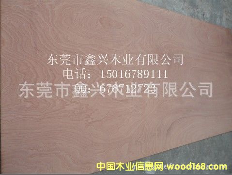 ����(y��ng)�һ�о�z�ϰ�