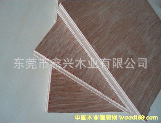 ����(y��ng) �һ�о���Ӱ�