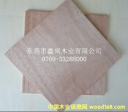 ����(y��ng)�һ�о�Ҿ߰�