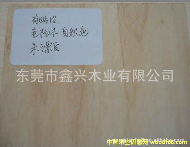 ����(y��ng)�z�ϰ�/�����z�ϰ�