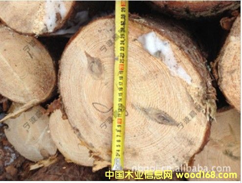 �W��������ԭľ��ڏ���Ԕ����B