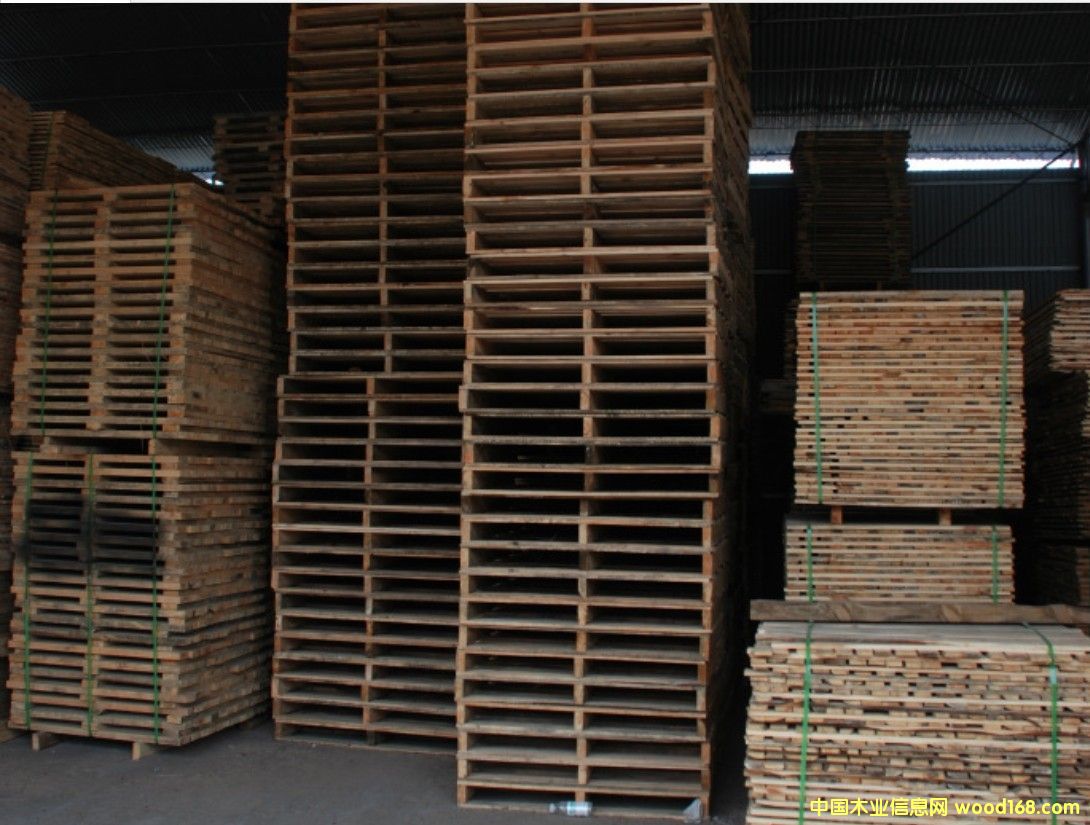 ��(sh��)ľ�бP��ľ�|(zh��)�бP���ɶ���