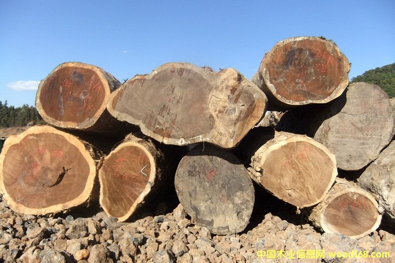 �ľ��Ԕ����B