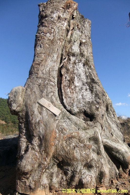 �ľ��Ԕ����B