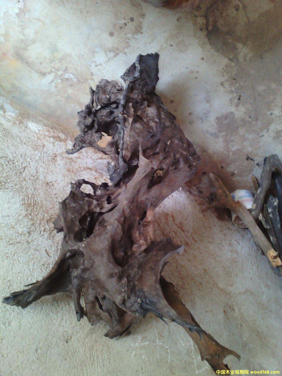 ˮ��ꎺ��F��ľ�K��Ԕ��(x��)��B