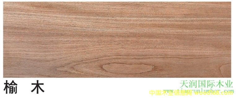 ��ľ��Ԕ����B