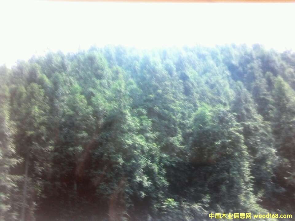 �c(di��n)���鿴�����ֵطŴ�DƬ