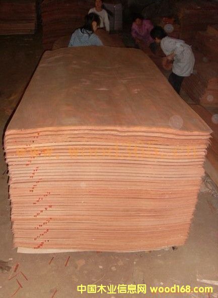 �һ�����Ƥ��Ԕ��(x��)��B