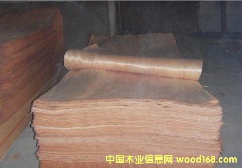 �һ�����Ƥ��Ԕ��(x��)��B