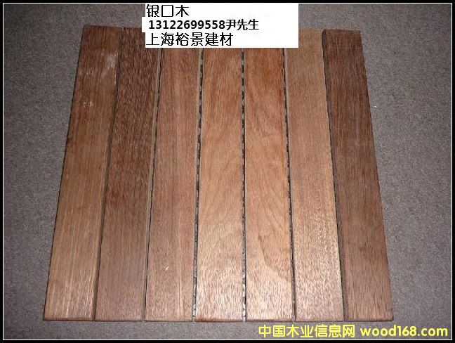 銀口木的詳細(xì)介紹