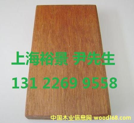 山樟木的詳細(xì)介紹