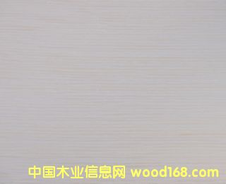 E.V����-2160