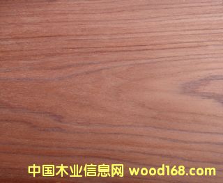 E.V����-2604pc