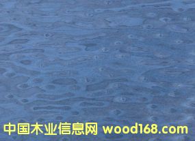 E.V�{(l��n)؈��-980