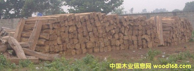 �����淽ľ��Ԕ��(x��)��B