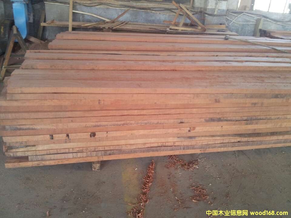 ����ľ����ľ