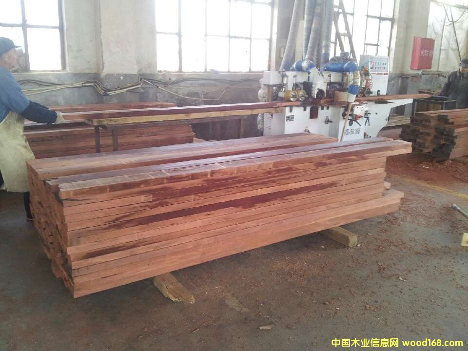 ����ľ����ľ