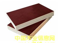 �c���鿴����Ĥ�Ŵ�DƬ