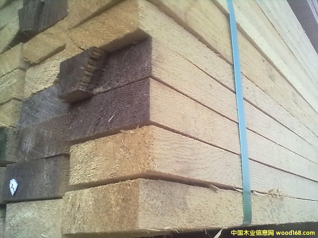 �Fɼ����ľ����Ԕ��(x��)��B