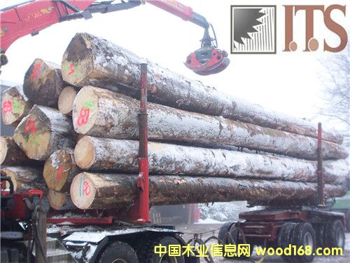 ��ɼԭľ��Ԕ��(x��)��B