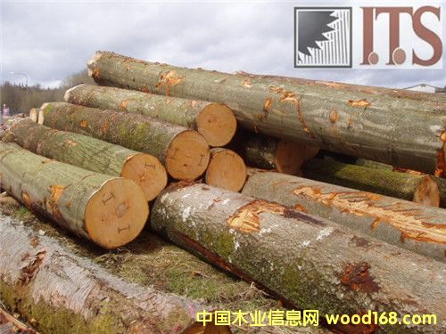 ��ľԭľ��Ԕ��(x��)��B