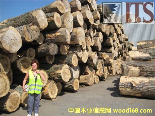 ��ľԭľ��Ԕ��(x��)��B