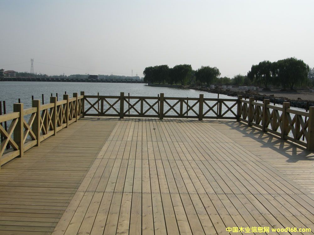 ����ľ���ږř� ��Ԕ��(x��)��B