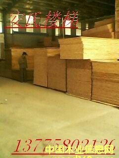 ָ�Ӱ��Ԕ��(x��)��B