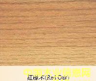 紅橡木的詳細介紹