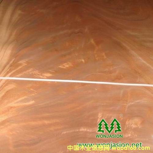 �һ�о��Ԕ����B