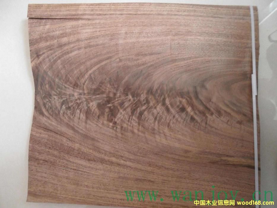 �ں��Ҙ�辵�Ԕ����B