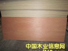 ���ǹ��z�ϰ��Ԕ��(x��)��B