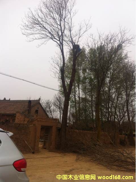 �ľԭľ��Ԕ��(x��)��B