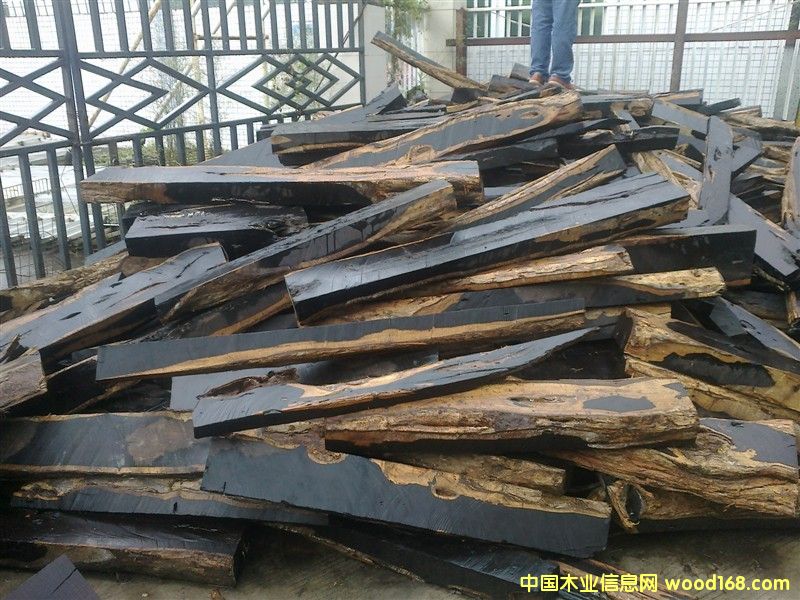 Ƥ��|����̴|���S̴|����֦|��̴|��̴|�S��|�����M(j��n)�ڈ��P(gu��n)