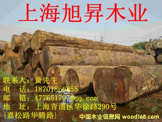 �͵�ľԭľ�ӹ������Ԕ��(x��)��B