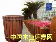 �c(di��n)���鿴��ľ�Ŵ�DƬ